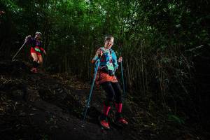 BIB: 
                            <button type="button" onclick="openModal(25097082)" class="btn btn-primary btn-sm float-right btn-popup" data-toggle="modal" data-target=".modal-high-quality">
                        <i class="fas fa-shopping-cart"></i> Add to Cart
                    </button>
                                            <button type="button" onclick="isThisMe(25097082, true)" class="btn btn-success btn-sm float-right btn-popup btn-isme hidden" data-toggle="tooltip" data-placement="bottom" title="นี่คือรูปของคุณใช่ไหม คลิกที่นี่เพื่อเอาเข้าอัลบั้ม">
                        <i class="fas fa-plus"></i> Add to album
                    </button>
                    <button type="button" onclick="isThisMe(25097082, false)" class="btn btn-warning btn-sm float-right btn-popup btn-isnotme hidden">
                        <i class="fas fa-ban"></i> Remove from album
                    </button>